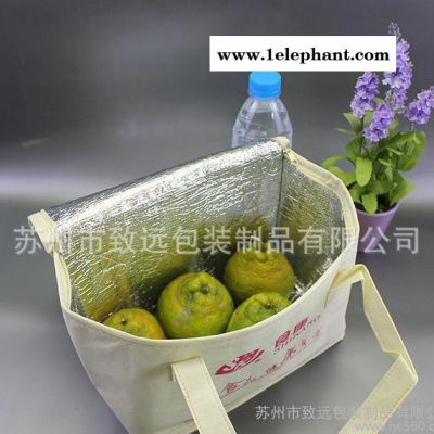 致遠(yuǎn) 無(wú)紡布速凍食物保鮮袋 家用蛋糕保溫袋 無(wú)紡布防水拉鏈冰包
