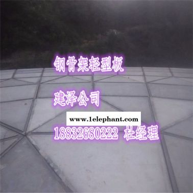 專業供應 鋼骨架輕型板 鋼骨架網架板 太空板 歲護士 生產商2