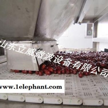 黃秋葵干燥滅菌機(jī)