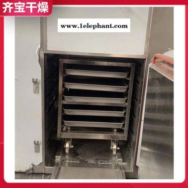 CT-C系列熱風循環(huán)烘箱 隧道式真空烘箱 對開門干熱滅菌烘箱 電熱鼓風干燥烘箱價格