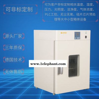 實驗室設備DRX-625干烤滅菌器 熱空氣消毒箱 上海廠家 可定做定制各種真空烘箱干燥箱