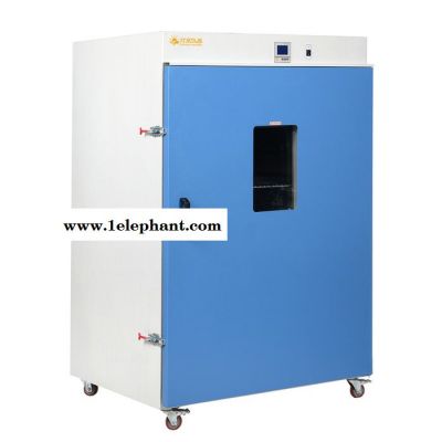 立式干烤滅菌器DRX-965 非標定制定做熱空氣消毒柜 紫外消毒柜 上海現貨直銷 真空干燥箱