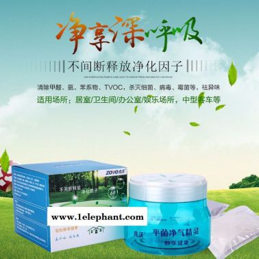 除甲醛滅菌除味 空氣凈化劑 空氣觸媒 滅菌除臭 裝修除甲醛 緩釋長效