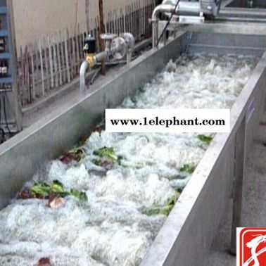 山東諸城 高壓氣泡清洗機(jī) 蔬菜清洗滅菌流水線  價格查詢