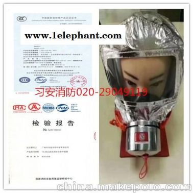防毒面具 過濾式消防自救呼吸器火災(zāi)防煙逃生面具TZL30