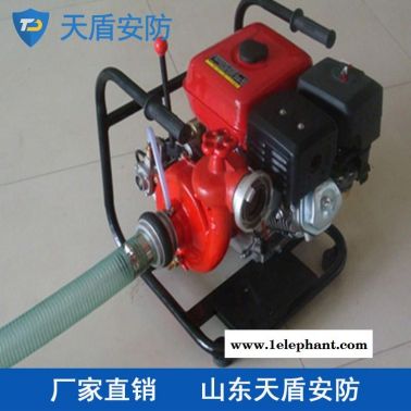 手抬機(jī)動(dòng)消防泵銷售 消防器材 手抬消防泵批發(fā)