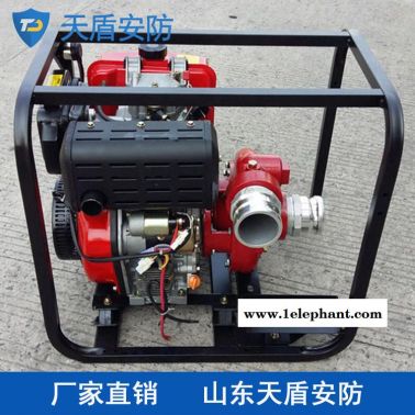 供應(yīng)移動消防泵 天盾移動消防泵價(jià)格 消防器材銷售商