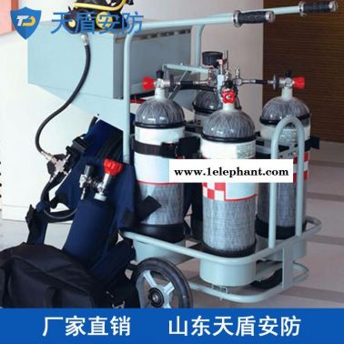 移動供氣源現貨供應  天盾移動供氣源大廠家 安防設備熱賣