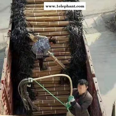 消防森林滅火二號工具-森林打火把-園林器材 礦山寶