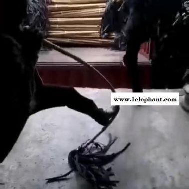 消防滅火二號工具-森林打火把-園林器材 滅火拖把 礦山寶