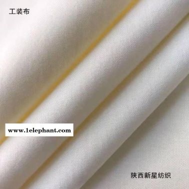 滌棉TC80/20 21*21 108*58*63箱包服裝面料手套工裝帳篷坯布