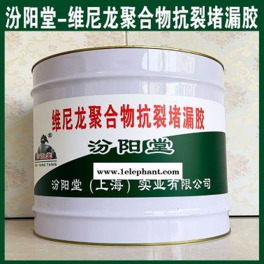 批量、維尼龍聚合物抗裂堵漏膠、銷售