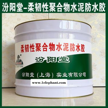 柔韌性聚合物水泥防水膠、方便，工期短