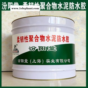 柔韌性聚合物水泥防水膠、抗水滲透