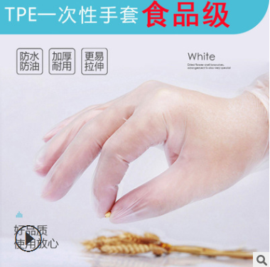 一次性手套pvc/tpe 加厚廚房塑料烘焙衛生食品餐飲美容院手套
