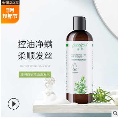 經(jīng)典款祛螨止癢澳洲茶樹精油洗發(fā)水 清爽控油植物洗發(fā)露廠家批發(fā)