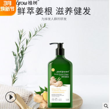 洗護用品生姜柔潤發(fā)絲洗發(fā)水 鮮萃姜根油洗發(fā)露廠家批發(fā)