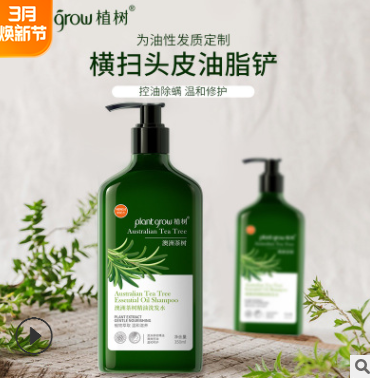 洗護用品祛螨止癢澳洲茶樹精油洗發(fā)水 清爽控油植物精華洗發(fā)露