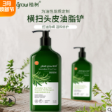 洗護用品祛螨止癢澳洲茶樹精油洗發(fā)水 清爽控油植物精華洗發(fā)露