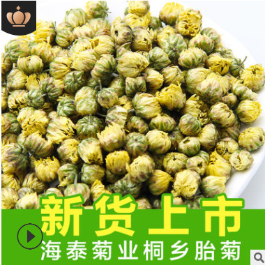 桐鄉頭采胎菊散裝批發 胎菊王菊花茶散裝杭白菊胎米產地直發