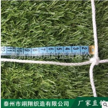 3MM集裝箱網(wǎng) 集裝箱防護網(wǎng) 貨柜網(wǎng) 國標白色尼龍繩網(wǎng)