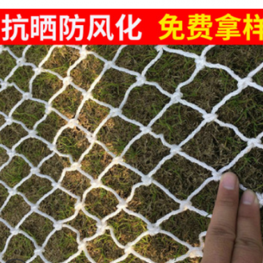 廠家直銷尼龍安全網建筑安全防墜網 高強絲小網孔的安全平網