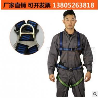 供應歐標安全帶 防墜落全身式帶護腰安全繩 高空作業滌綸安全