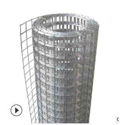 廣東供應批發鍍鋅鐵絲網片建筑鋼筋電焊網片鋼絲電焊網片質量保證