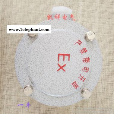 凱祥電氣**AH系列防爆接線盒防爆穿線盒DN25一平直平三平四平角平G1一吊直吊三吊四吊角吊