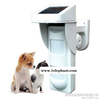 供應金鴿PIR-100D無線太陽能紅外探測器 紅外探測器