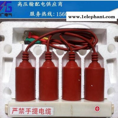 巨廣電氣 TBP系列三相組合式過電壓保護(hù)器(有間隙型) 質(zhì)量保證