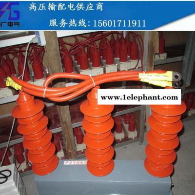 巨廣電氣 TBP系列三相組合式過電壓保護(hù)器(無間隙型) 質(zhì)量保證