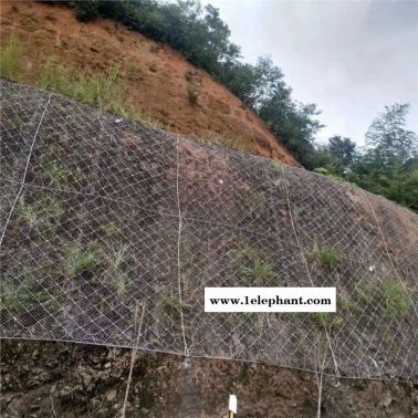供應六安公路山體護坡攔石網(wǎng)廠家直銷